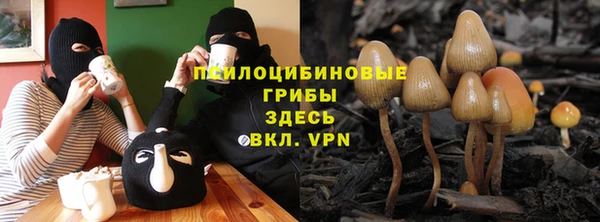 ALPHA-PVP Армянск