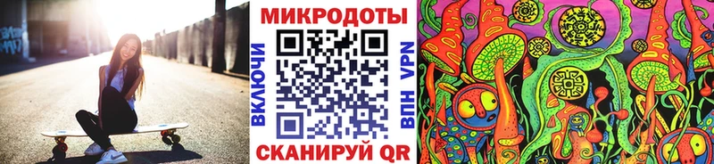 хочу   Краснокаменск  Галлюциногенные грибы Psilocybine cubensis 